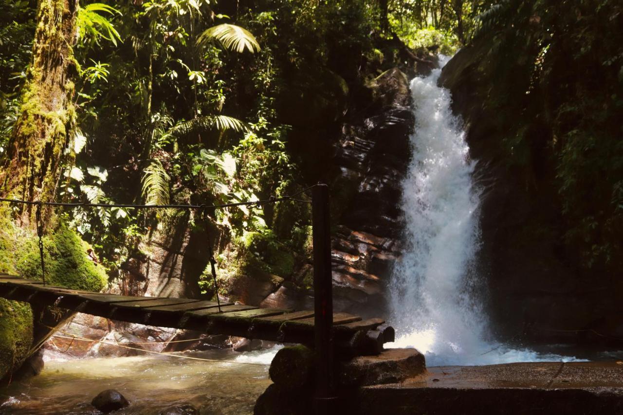 Hotel La Ecohotel - Valle Del Cocora 4*