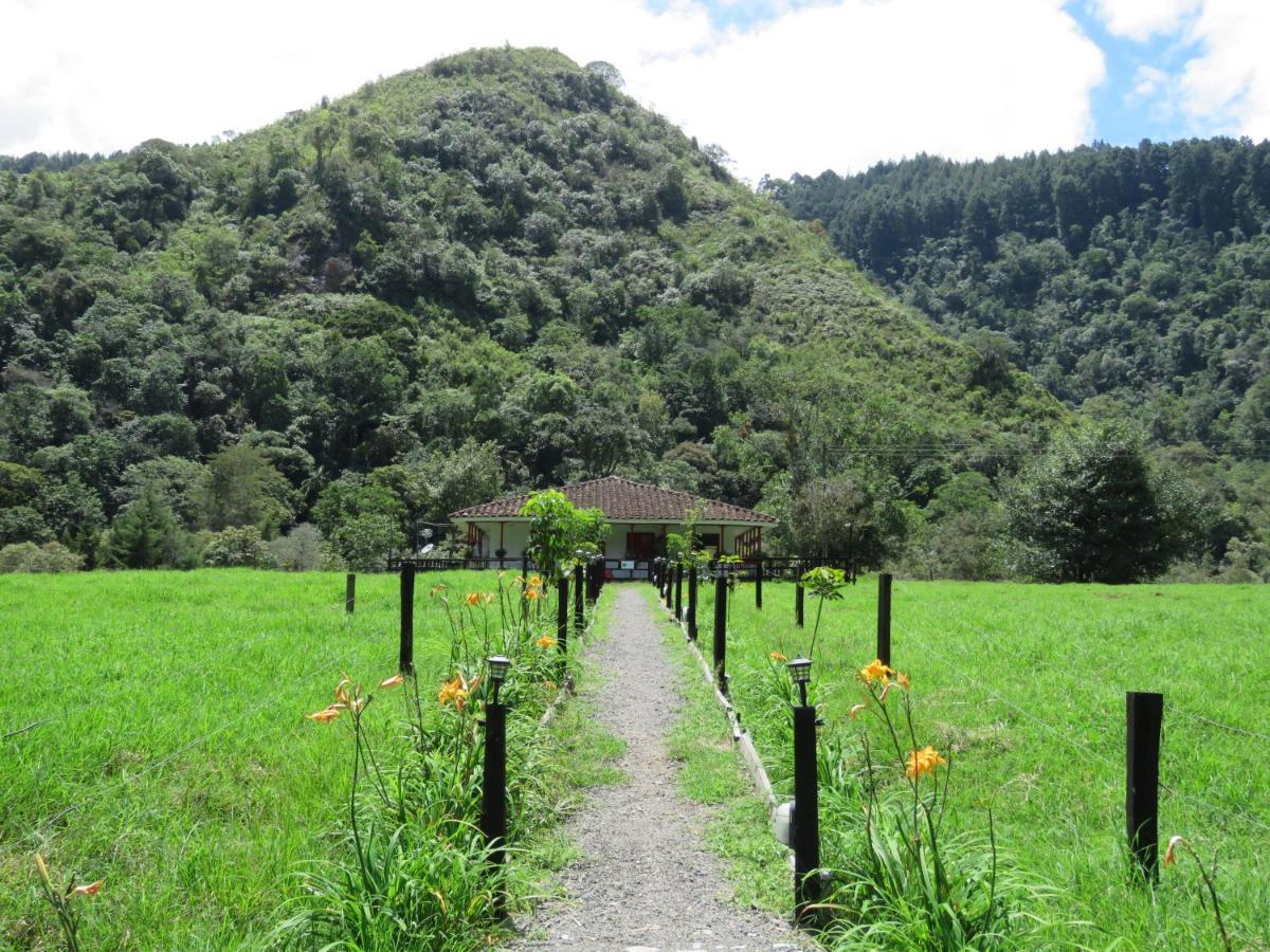 La Ecohotel - Valle Del Cocora Hotel