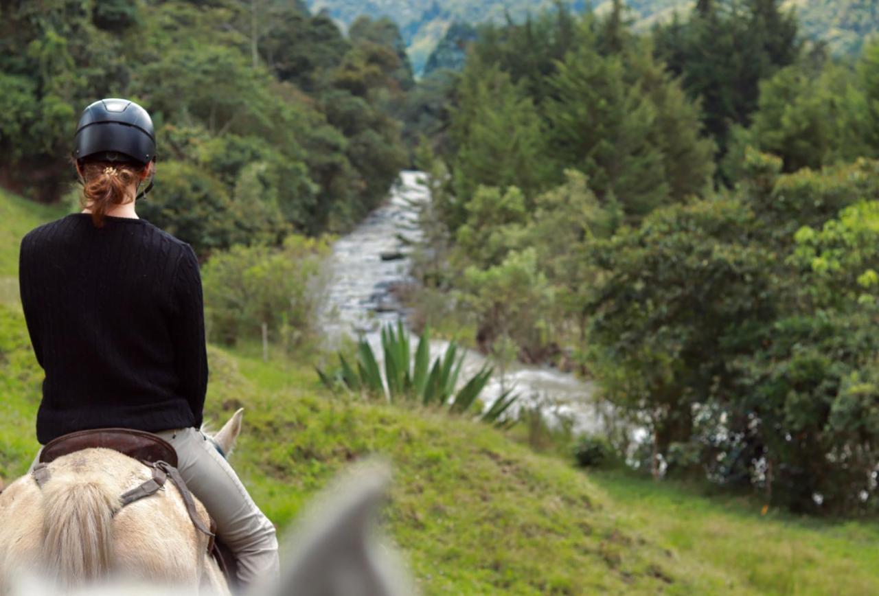 La Ecohotel - Valle Del Cocora Hotel