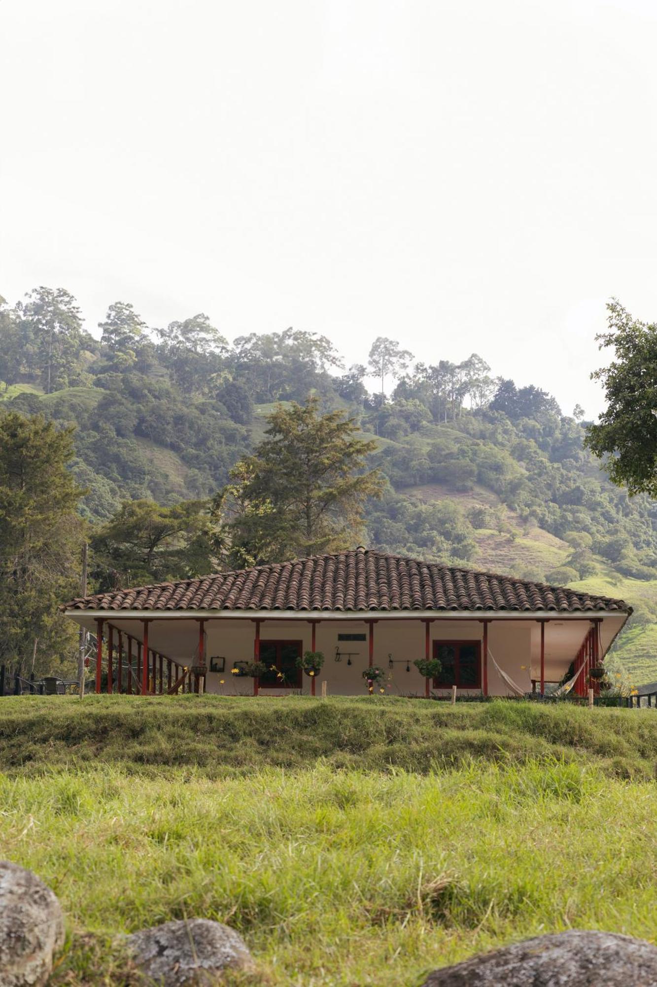 La Ecohotel - Valle Del Cocora Salento