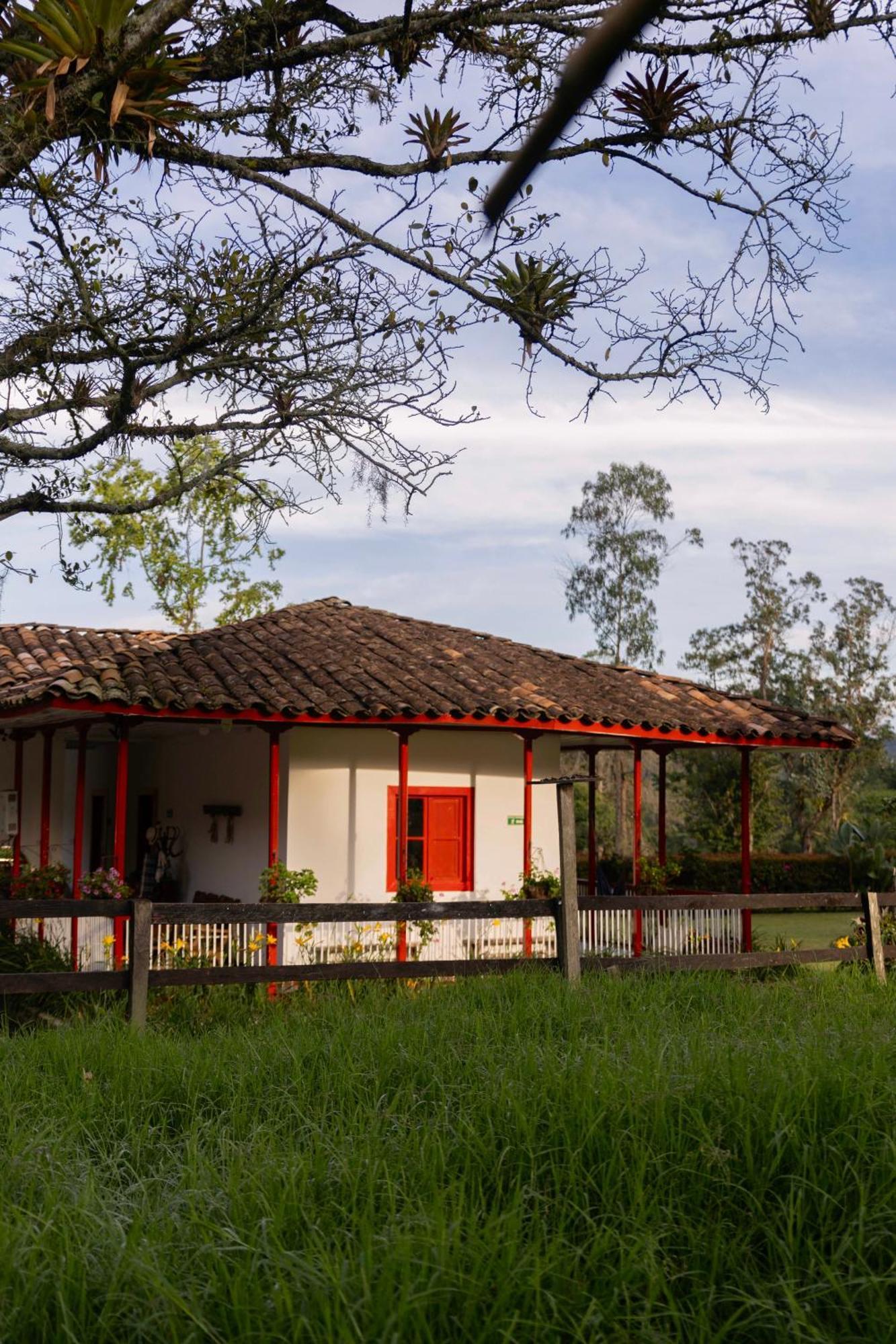 La Ecohotel - Valle Del Cocora 4* Salento