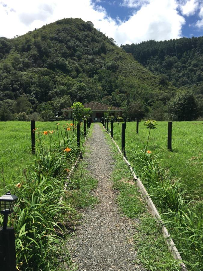 La Ecohotel - Valle Del Cocora Hotel